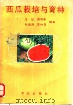 西瓜栽培与育种 1993 PDF电子版封面 7109028267 王坚等编著