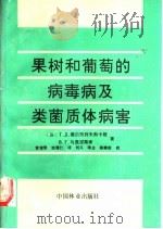 果树和葡萄的病毒病及类菌质体病害 1991 PDF电子版封面 7503806281 (苏)薇尔杰列夫斯卡娅(Вердеревская,Т.Д.)