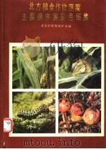 北方粮食作物蔬菜主要病虫害彩色图集 1988 PDF电子版封面 7109002098 北京市植物保护站编