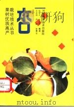 杏   1991  PDF电子版封面  7534907772  王志明等编著 