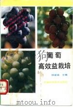 葡萄高效益栽培 1993 PDF电子版封面 7533708901 钟家煌主编