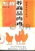 怎样养商品肉鸡 1987 PDF电子版封面 16365·82 朱元照编