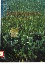 茶树病害的诊断和防治 1990 PDF电子版封面 7532314413 陈宗懋,陈雪芬编著
