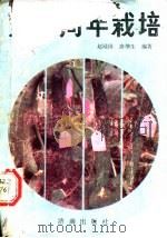 黄瓜周年栽培 1989 PDF电子版封面 7805720002 赵殿国,唐增生编著