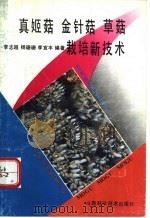 真姬菇 金针菇 草菇栽培新技术 1993 PDF电子版封面 7537707421 李志超等编著