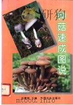种菇速成图说 1997 PDF电子版封面 7109047946 冯景刚主编
