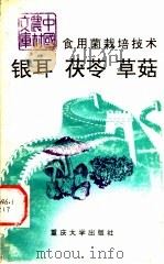 食用菌栽培技术  银耳  茯苓  草菇   1991  PDF电子版封面  7562403856  张雪岳编著 