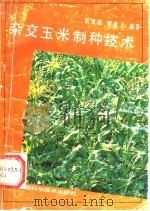 杂交玉米制种技术 1991 PDF电子版封面 7533706706 钱章强,樊贵义编著