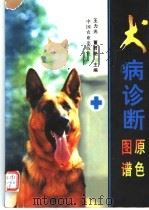 犬病诊断原色图谱 1998 PDF电子版封面 7109047938 王力光,董君艳主编
