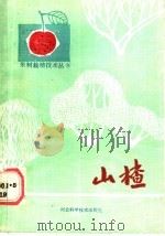 山楂 1989 PDF电子版封面 7537501858 刘国栋等编著