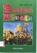 油菜病虫草害防治彩色图说 1998 PDF电子版封面 7109053814 刘胜毅,马奇祥等编著