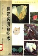 棉花实用新技术 1992 PDF电子版封面 7533110005 山东省农业科学院,李文炳,潘大陆主编