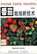 番茄栽培新技术 1996 PDF电子版封面 7533510577 黄碧琦编著