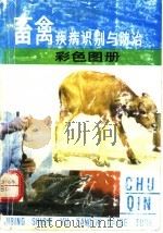 畜禽疾病识别与防治彩色图册 1990 PDF电子版封面 7539003448 刘鑫等编写