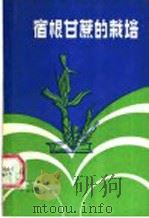 宿根甘蔗的栽培 1987 PDF电子版封面 7535900399 苏广达,吴伯栓编