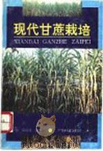现代甘蔗栽培 1992 PDF电子版封面 7535909949 邓绍同编著