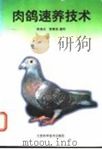 肉鸽速养技术 1997 PDF电子版封面 7539010517 陈瑞光,程春焱编写