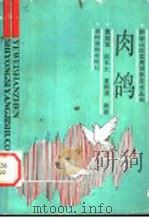 肉鸽 1990 PDF电子版封面 7504810290 剑山,张肇英编著