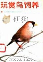 玩赏鸟饲养 1987 PDF电子版封面 17196·095 张亚,王德福编著