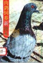 肉鸽饲养新技术 1990 PDF电子版封面 753450855X 沈忠辙等编著