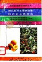 西瓜甜瓜主要病虫害的识别及其防治 1993 PDF电子版封面 7109030776 刘秀芳等编著