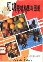 红壤荒坡种果树图册 1990 PDF电子版封面 7539003723 朱文灿编写