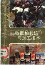 猕猴桃栽培与加工技术 1989 PDF电子版封面 750380386X 朱鸿云,张海燕编著