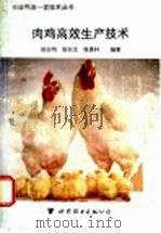 肉鸡高效生产技术 1996 PDF电子版封面 7506220997 郝志明,张衍文;张景轩编著