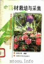 中药材栽培与采集 1992 PDF电子版封面 7537706441 白效令等编