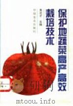 保护地蔬菜高产高效栽培技术 1996 PDF电子版封面 7109042227 焦光才主编