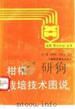 柑桔栽培技术图说 1990 PDF电子版封面 7542703315 林大盛等编著