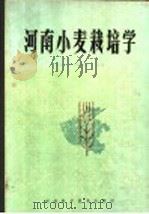 河南小麦栽培学 1988 PDF电子版封面 7534901189 河南省农业科学院主编