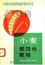 小麦规范化栽培 1991 PDF电子版封面 7534907128 河南省农牧厅主编
