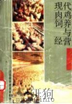 现代肉鸡饲养与经营 1990 PDF电子版封面 7534510031 黄松滨等编著
