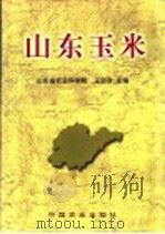 山东玉米 1999 PDF电子版封面 7109059707 山东省农业科学院,王忠孝主编