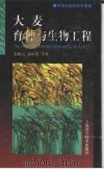 大麦育种与生物工程 1999 PDF电子版封面 753235167X 朱睦元,黄培忠等著