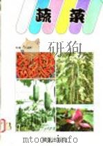 蔬菜 1987 PDF电子版封面 周廷光著