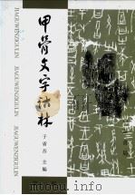 甲骨文字诂林（1996 PDF版）