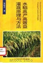 水稻高产高效益灌溉原理与方法 1994 PDF电子版封面 7538118446 朱庭芸著