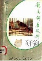 笼鸟饲养技术 1989 PDF电子版封面 7535904394 陈丰泰,黄汝凑编