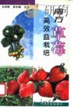 南方草莓高效益栽培 1993 PDF电子版封面 7109067939 马鸿翔,段辛楣主编