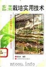 蔬菜栽培实用技术（1993 PDF版）
