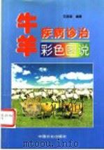 牛羊疾病诊治彩色图说 1998 PDF电子版封面 710905196X 范国雄编著