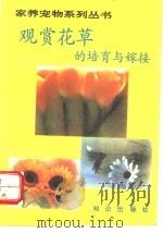 观赏花草的培育与嫁接 1993 PDF电子版封面 7501511292 孙佩雯编著