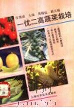 一优二高蔬菜栽培 1993 PDF电子版封面 7532332934 张德威主编
