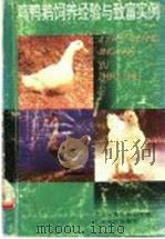 观鸭鹅饲养经验与致富实例 1991 PDF电子版封面 7535907377 广东省畜牧兽医学会编