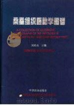 桑蚕组织胚胎学图谱 1999 PDF电子版封面 7109040798 吴维光主编