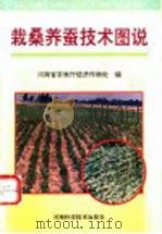 栽桑养蚕技术图说 1993 PDF电子版封面 7534911877 河南省农牧厅经济作物处编
