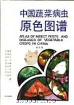 中国蔬菜病虫原色图谱 1998 PDF电子版封面 710902628X 吕佩珂等著