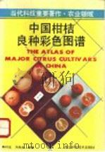 中国柑桔良种彩色图谱 1993 PDF电子版封面 7536424663 陈竹生,万良珍编著